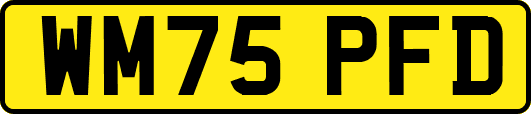 WM75PFD