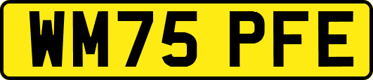 WM75PFE