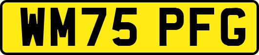 WM75PFG