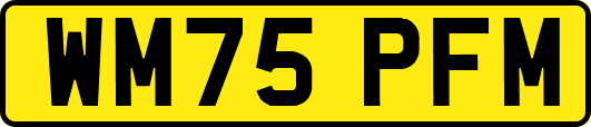 WM75PFM