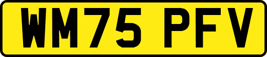 WM75PFV