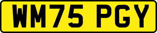 WM75PGY