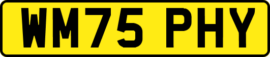 WM75PHY