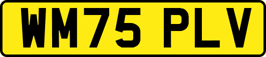 WM75PLV