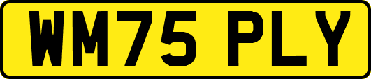WM75PLY