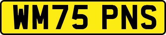 WM75PNS