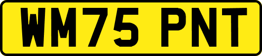 WM75PNT