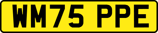 WM75PPE