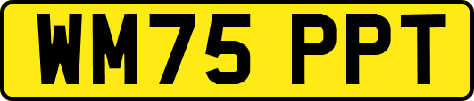 WM75PPT