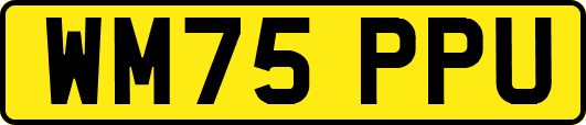 WM75PPU