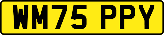 WM75PPY