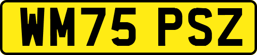 WM75PSZ