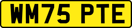 WM75PTE