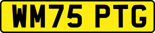 WM75PTG