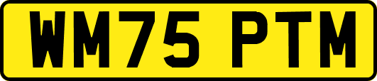 WM75PTM