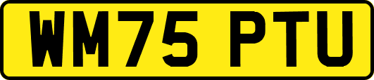 WM75PTU
