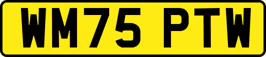 WM75PTW