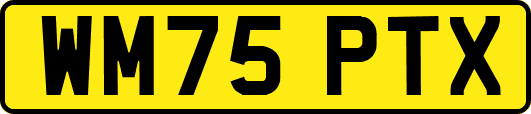 WM75PTX