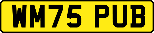 WM75PUB