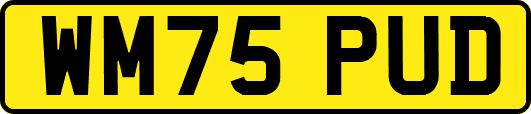 WM75PUD