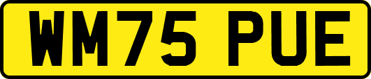 WM75PUE