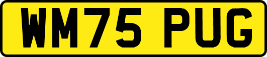 WM75PUG