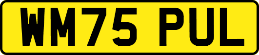 WM75PUL
