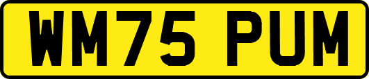 WM75PUM