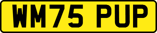WM75PUP