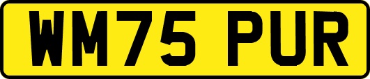 WM75PUR