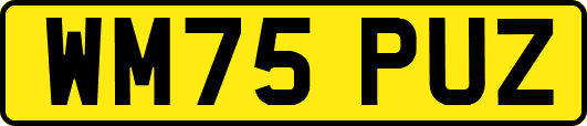 WM75PUZ