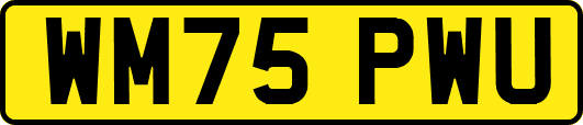 WM75PWU