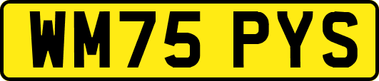 WM75PYS