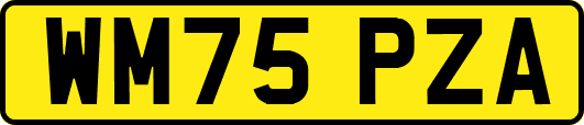 WM75PZA
