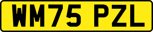 WM75PZL