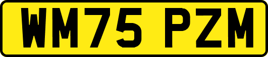 WM75PZM