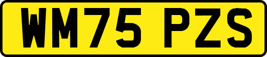 WM75PZS