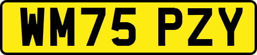 WM75PZY