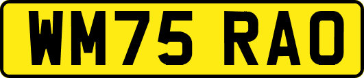 WM75RAO