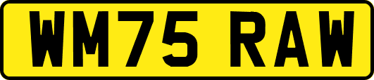 WM75RAW