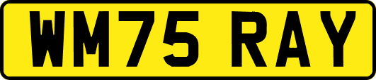 WM75RAY