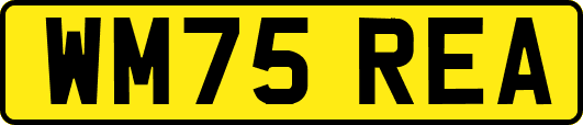 WM75REA