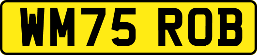 WM75ROB