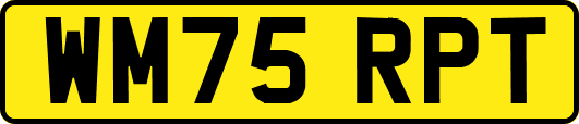 WM75RPT