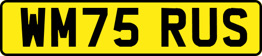 WM75RUS