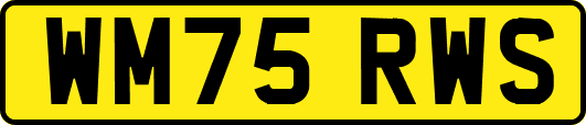WM75RWS