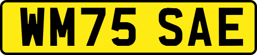 WM75SAE