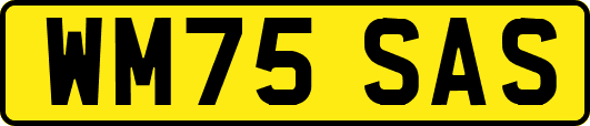 WM75SAS