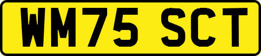 WM75SCT