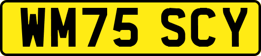 WM75SCY